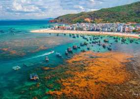 HÀ NỘI - QUY NHƠN - PHÚ YÊN | THIÊN ĐƯỜNG BIỂN 4N3Đ